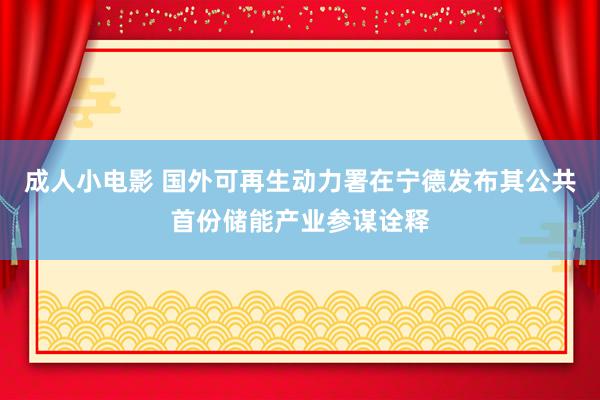 成人小电影 国外可再生动力署在宁德发布其公共首份储能产业参谋诠释