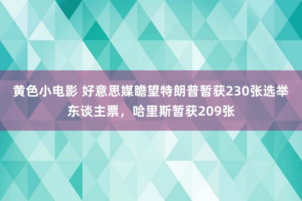 黄色小电影 好意思媒瞻望特朗普暂获230张选举东谈主票，哈里斯暂获209张