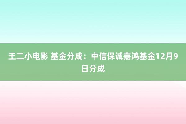 王二小电影 基金分成：中信保诚嘉鸿基金12月9日分成