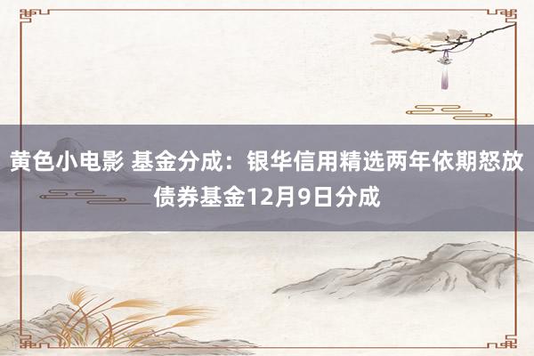 黄色小电影 基金分成：银华信用精选两年依期怒放债券基金12月9日分成