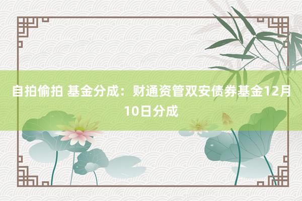 自拍偷拍 基金分成：财通资管双安债券基金12月10日分成