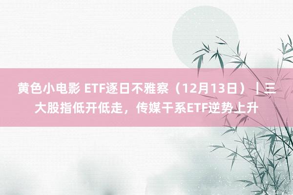 黄色小电影 ETF逐日不雅察（12月13日）｜三大股指低开低走，传媒干系ETF逆势上升