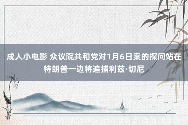 成人小电影 众议院共和党对1月6日案的探问站在特朗普一边将追捕利兹·切尼