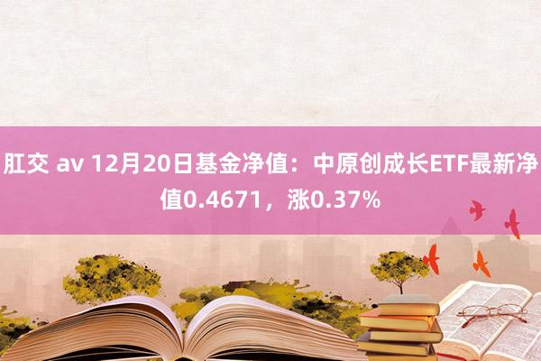 肛交 av 12月20日基金净值：中原创成长ETF最新净值0.4671，涨0.37%