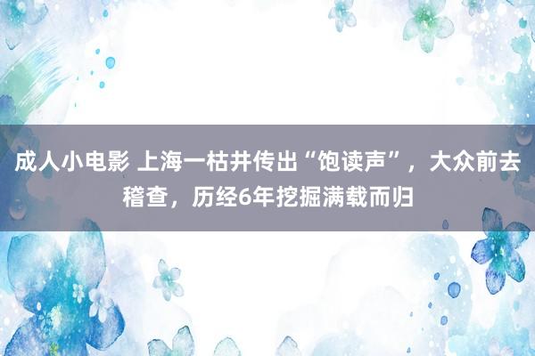 成人小电影 上海一枯井传出“饱读声”，大众前去稽查，历经6年挖掘满载而归