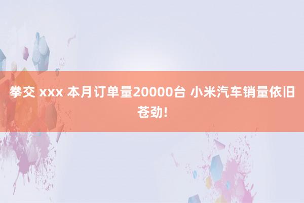 拳交 xxx 本月订单量20000台 小米汽车销量依旧苍劲!