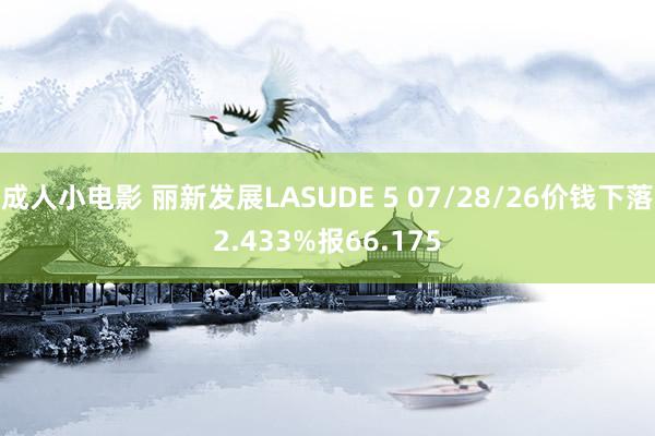 成人小电影 丽新发展LASUDE 5 07/28/26价钱下落2.433%报66.175