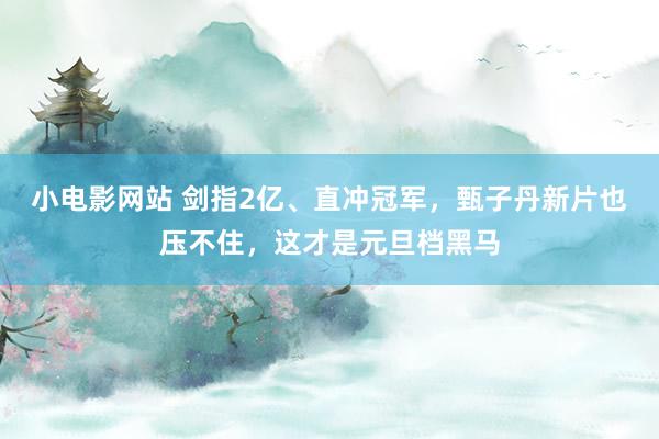 小电影网站 剑指2亿、直冲冠军，甄子丹新片也压不住，这才是元旦档黑马