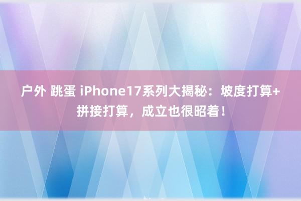 户外 跳蛋 iPhone17系列大揭秘：坡度打算+拼接打算，成立也很昭着！