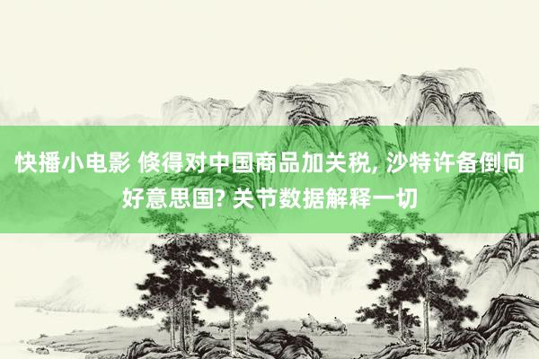 快播小电影 倏得对中国商品加关税， 沙特许备倒向好意思国? 关节数据解释一切