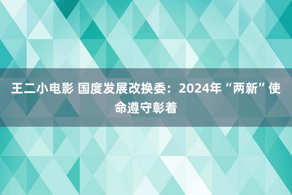 王二小电影 国度发展改换委：2024年“两新”使命遵守彰着