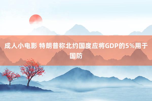 成人小电影 特朗普称北约国度应将GDP的5%用于国防