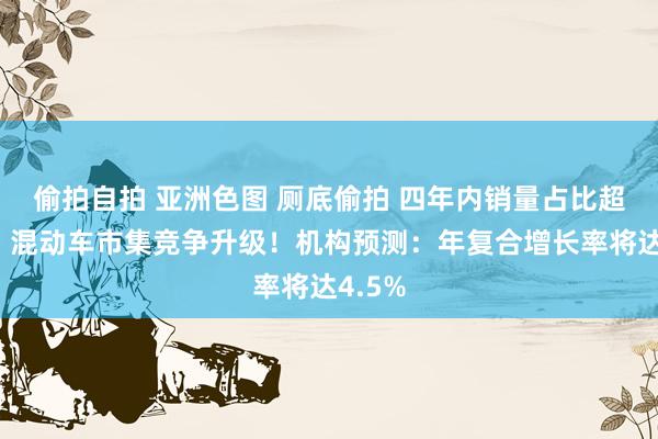 偷拍自拍 亚洲色图 厕底偷拍 四年内销量占比超一倍！混动车市集竞争升级！机构预测：年复合增长率将达4.5%