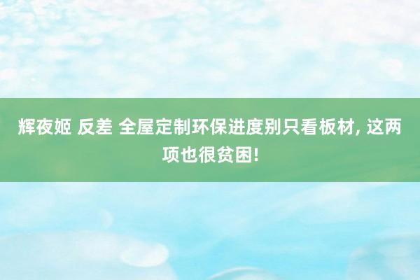 辉夜姬 反差 全屋定制环保进度别只看板材， 这两项也很贫困!