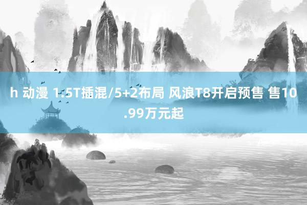 h 动漫 1.5T插混/5+2布局 风浪T8开启预售 售10.99万元起