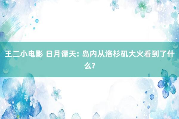 王二小电影 日月谭天: 岛内从洛杉矶大火看到了什么?