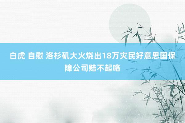 白虎 自慰 洛杉矶大火烧出18万灾民好意思国保障公司赔不起咯