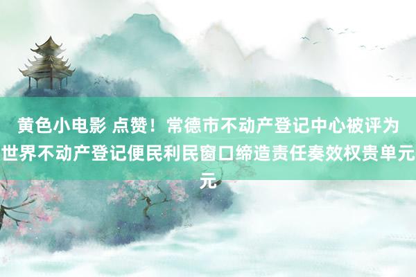 黄色小电影 点赞！常德市不动产登记中心被评为世界不动产登记便民利民窗口缔造责任奏效权贵单元