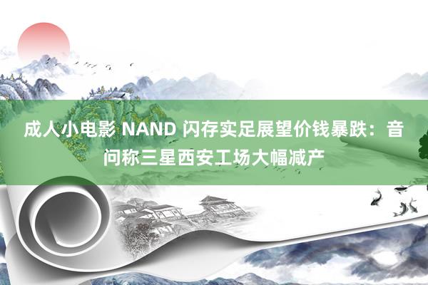 成人小电影 NAND 闪存实足展望价钱暴跌：音问称三星西安工场大幅减产