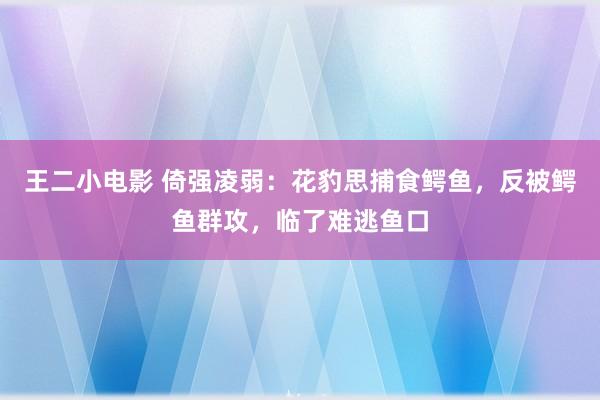 王二小电影 倚强凌弱：花豹思捕食鳄鱼，反被鳄鱼群攻，临了难逃鱼口