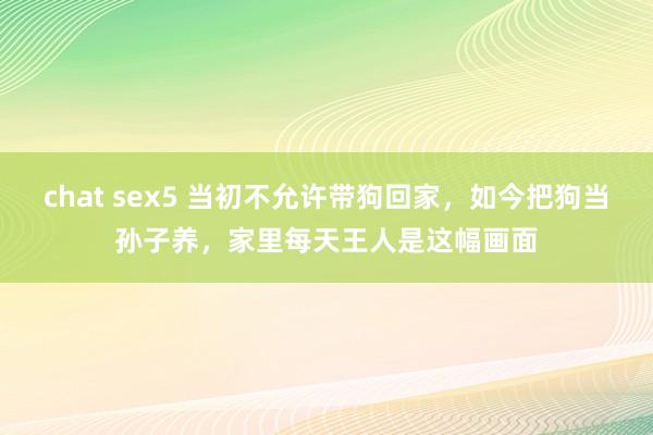 chat sex5 当初不允许带狗回家，如今把狗当孙子养，家里每天王人是这幅画面