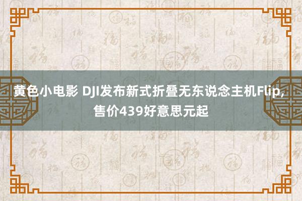 黄色小电影 DJI发布新式折叠无东说念主机Flip， 售价439好意思元起